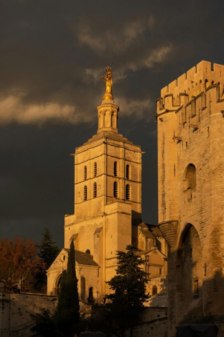 sécurité événementielle Avignon