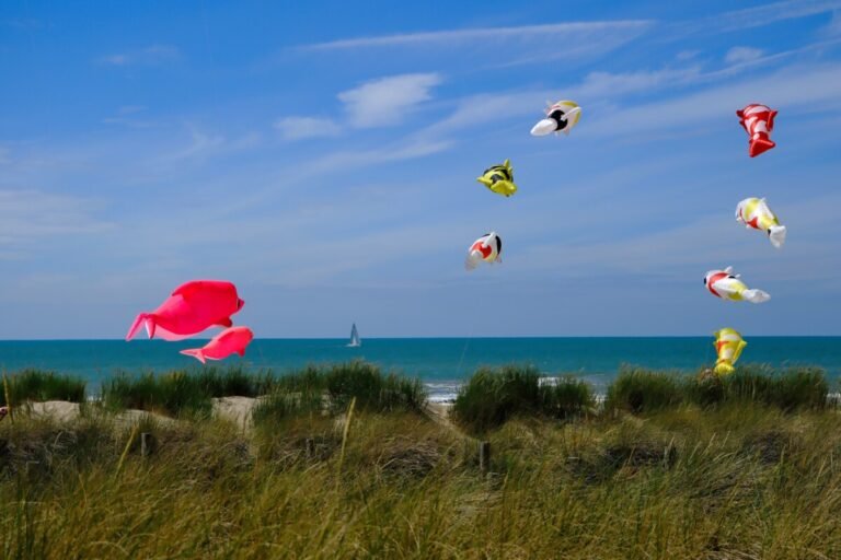 Sécurité évènementielle à Dieppe : festival du cerf-volant, concerts, salons..